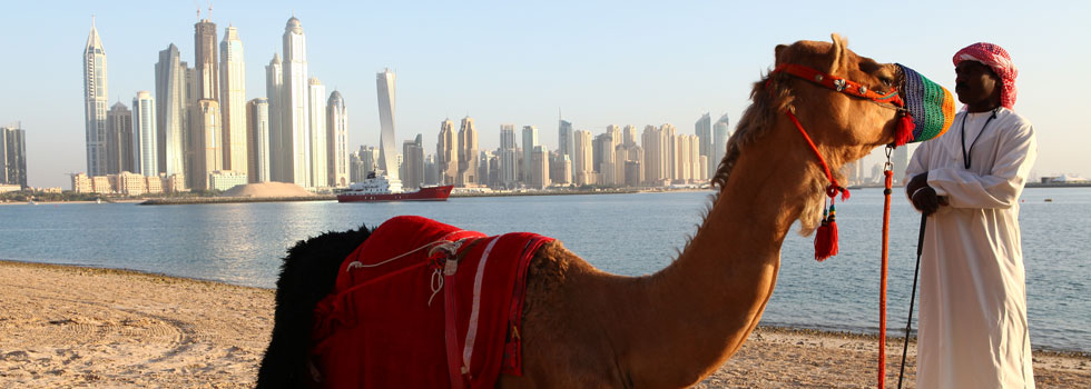Camels on the beach greeted guests in Dubai.